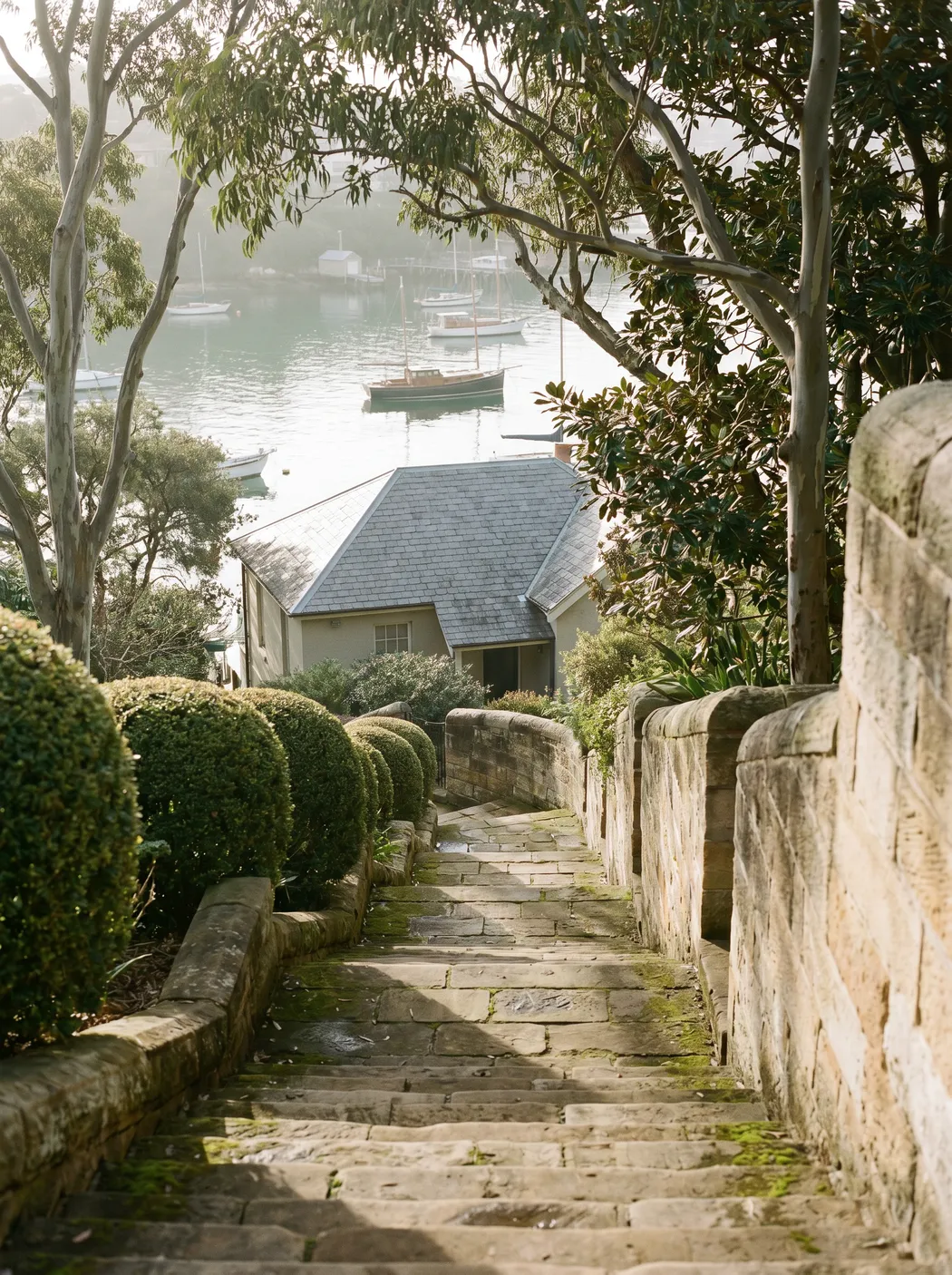 A long private garden stair descending between hedges and sandstone walls toward the roof of a house well below street level, harbour water beyond