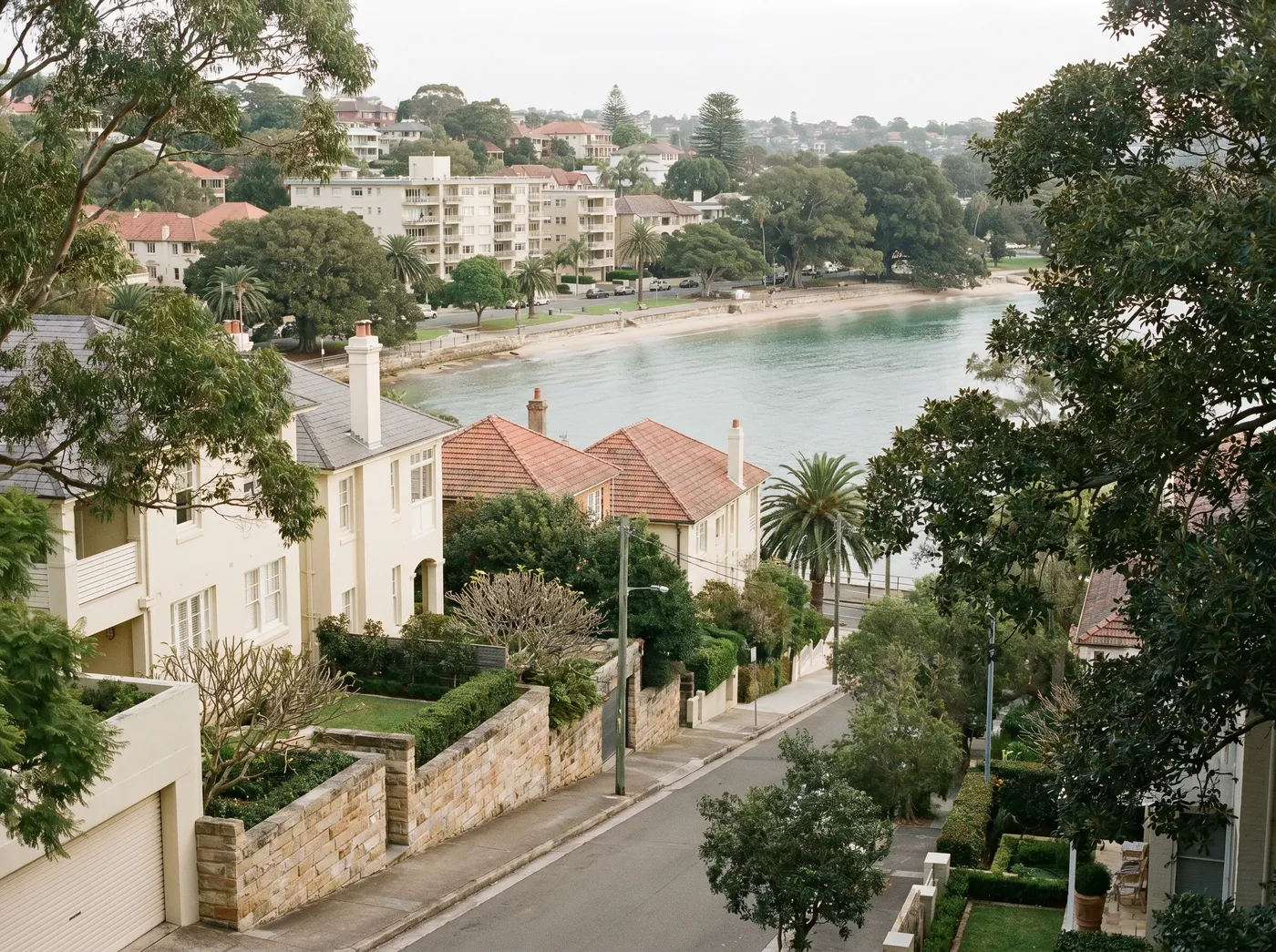 Looking from a residential street on the slope above Balmoral down across gardens and rooftops to the apartment buildings along the Esplanade and the still harbour water