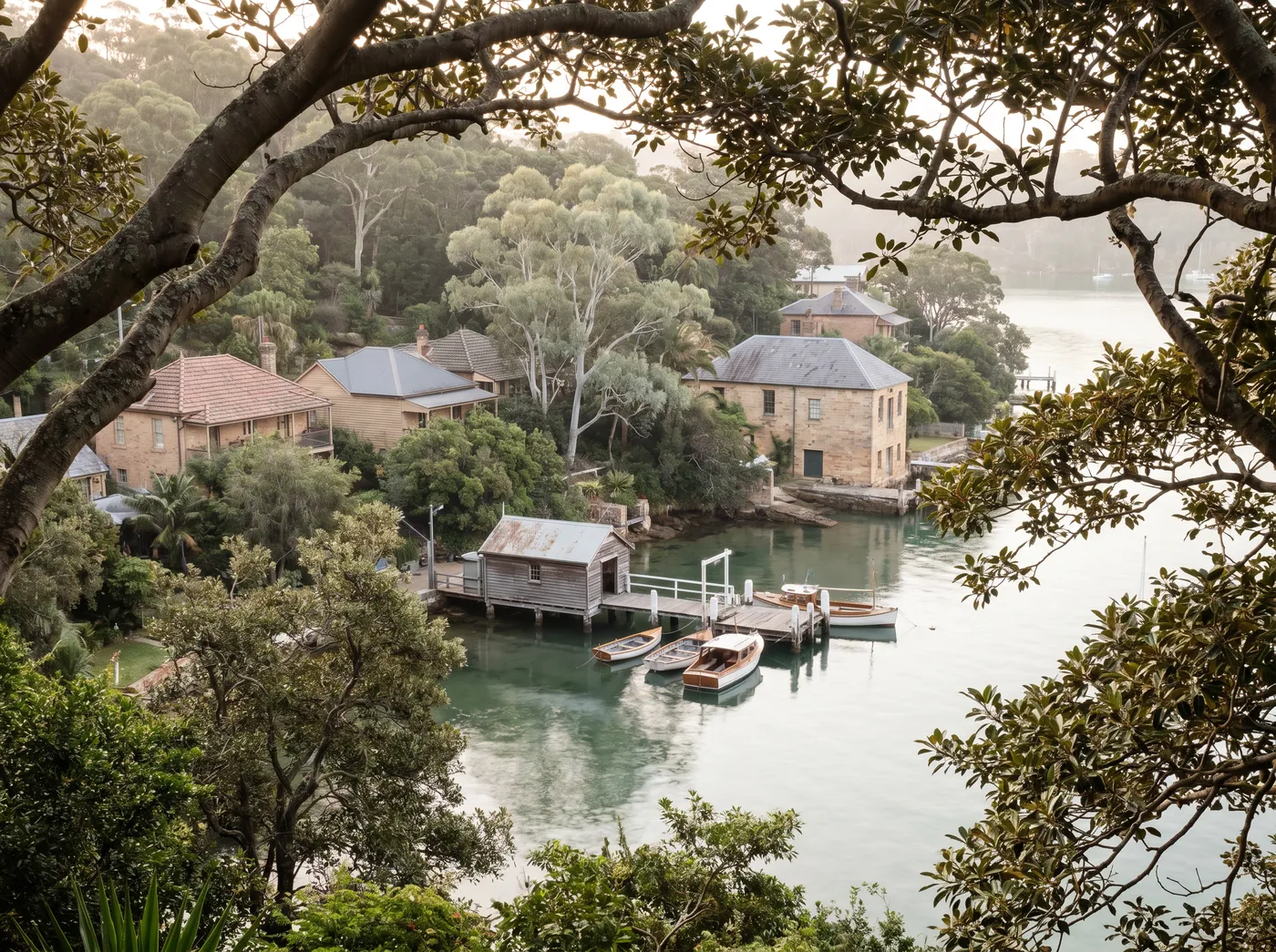 Looking down through fig branches to a small timber wharf and moored boats on still green water, with older houses stepped up the wooded slope of a harbour valley
